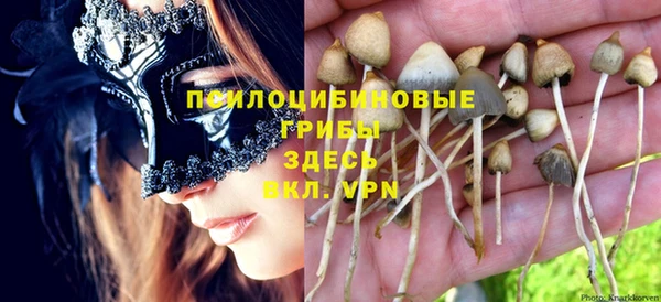 ПСИЛОЦИБИНОВЫЕ ГРИБЫ Алзамай