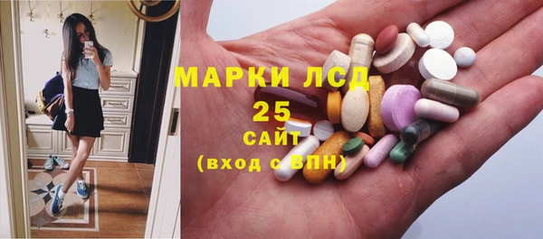 ПСИЛОЦИБИНОВЫЕ ГРИБЫ Алзамай